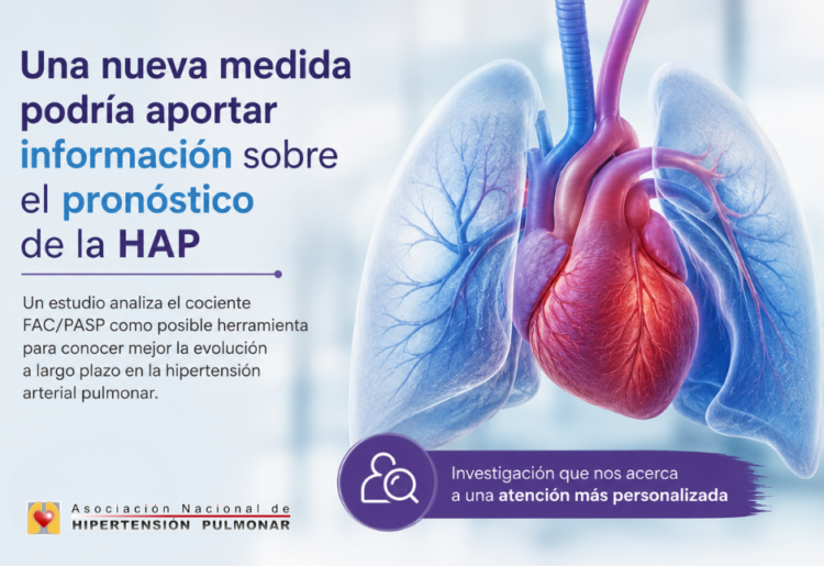 Una nueva medida podría aportar información sobre el pronóstico de la hipertensión arterial pulmonar